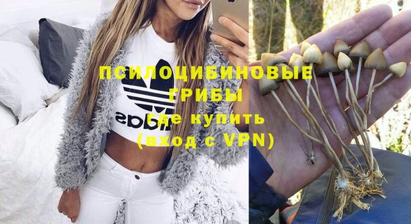 ALPHA-PVP Верея