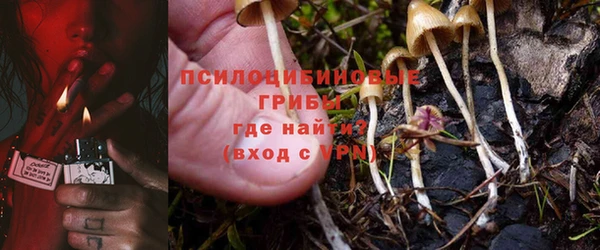 стаф Верхний Тагил