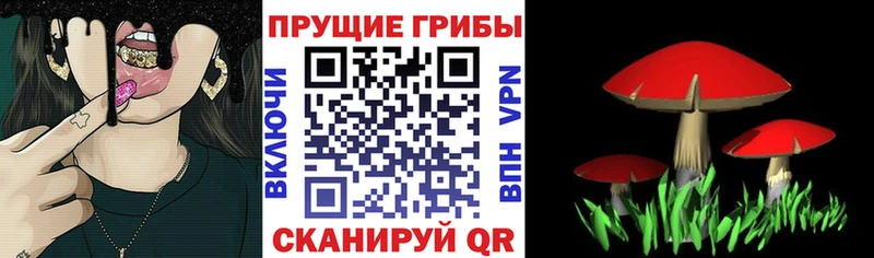 Галлюциногенные грибы MAGIC MUSHROOMS  mega   Георгиевск 